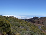 La Palma (10)