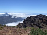 La Palma (12)