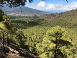 La Palma (94)