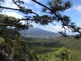 La Palma (95c)